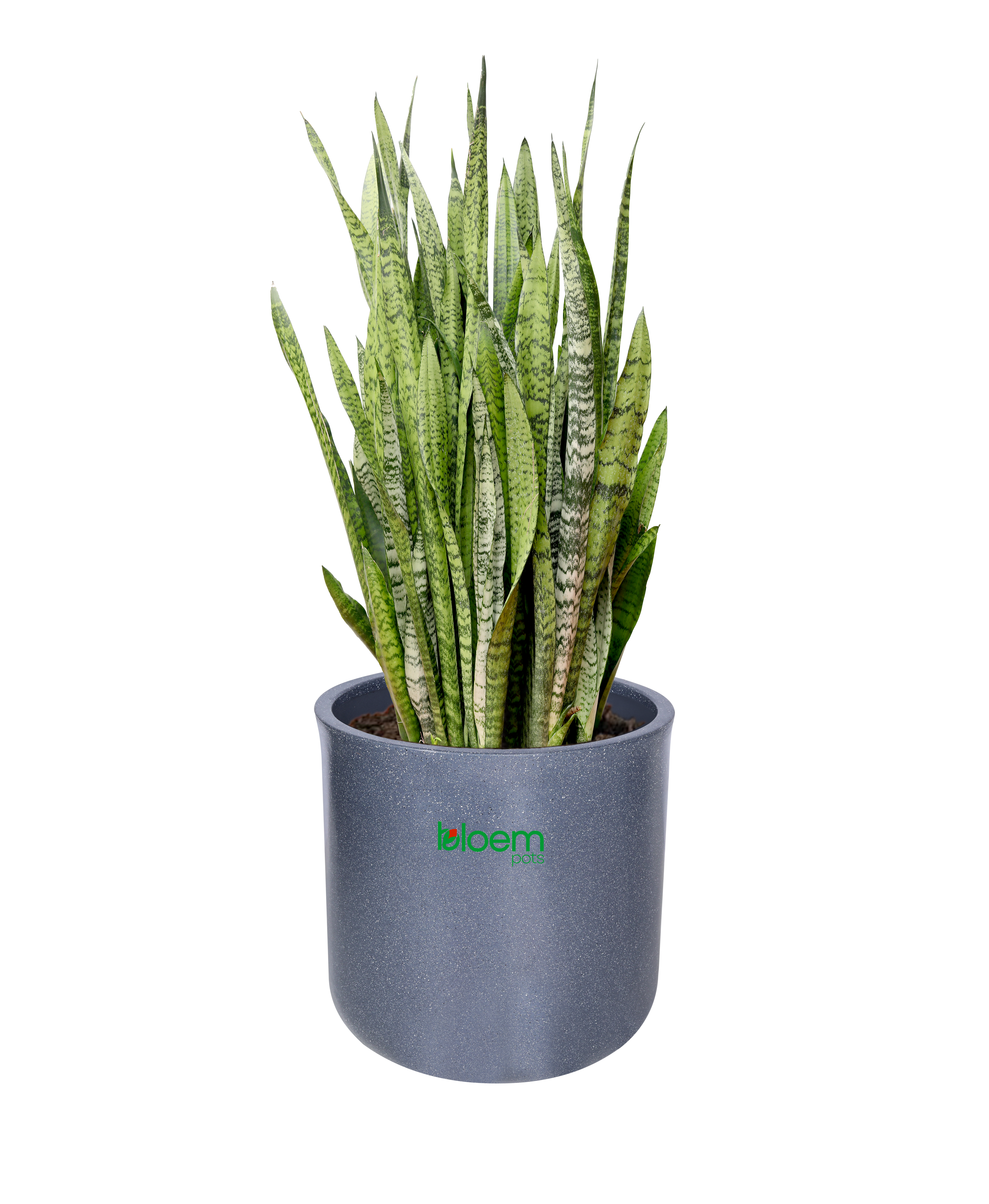 BloemPots planter