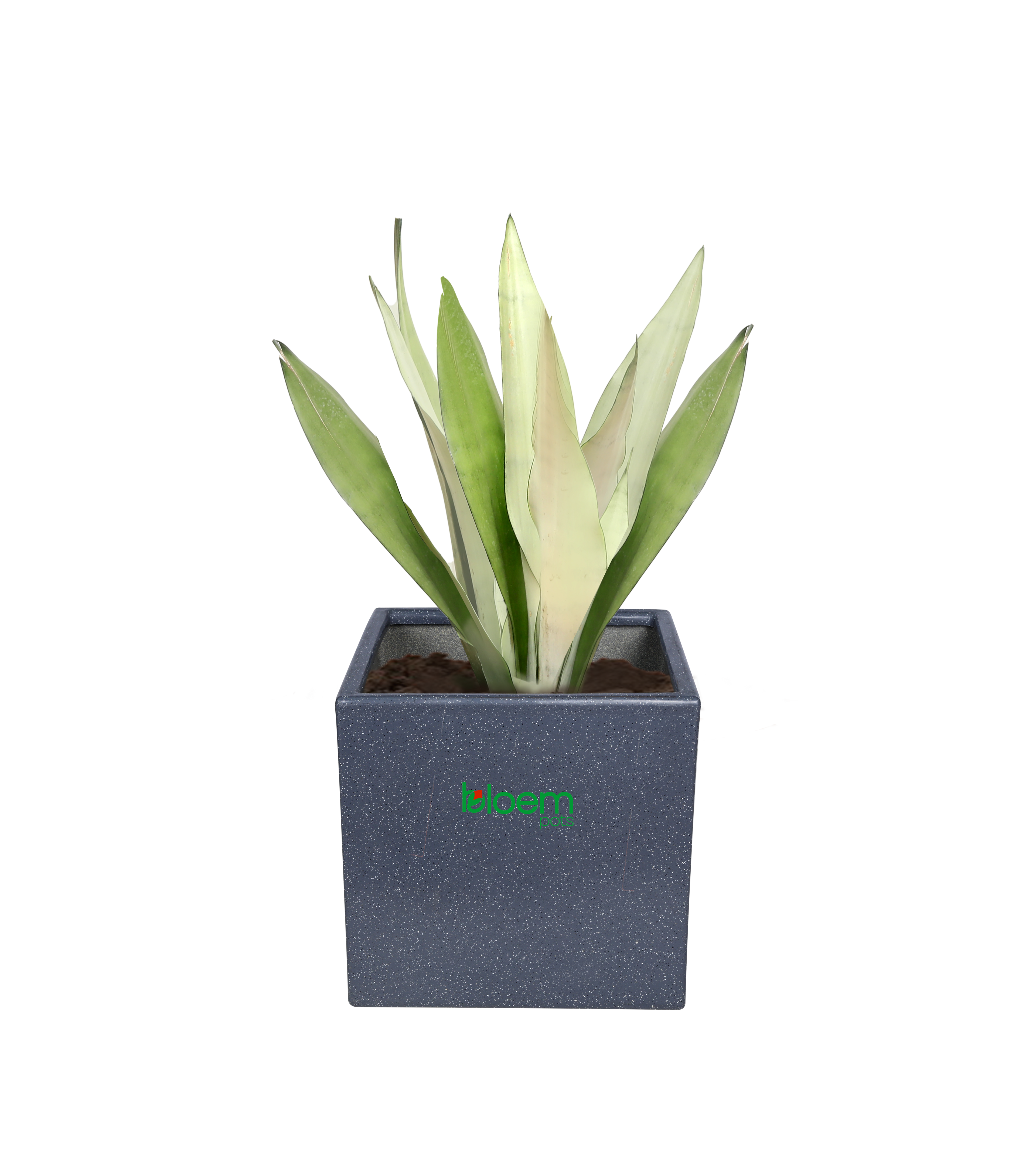 BloemPots planter
