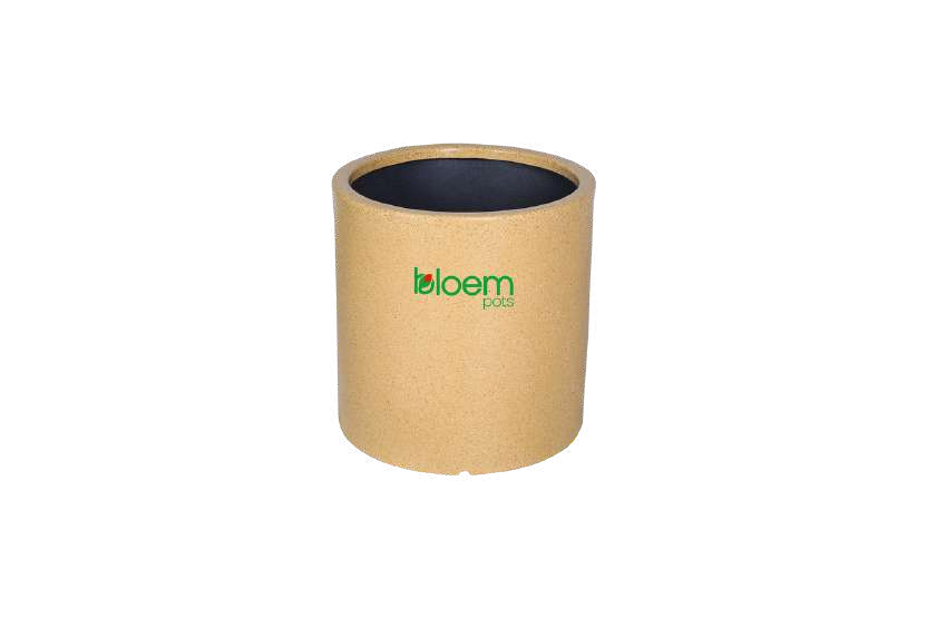 Bamboo thumbnail 3