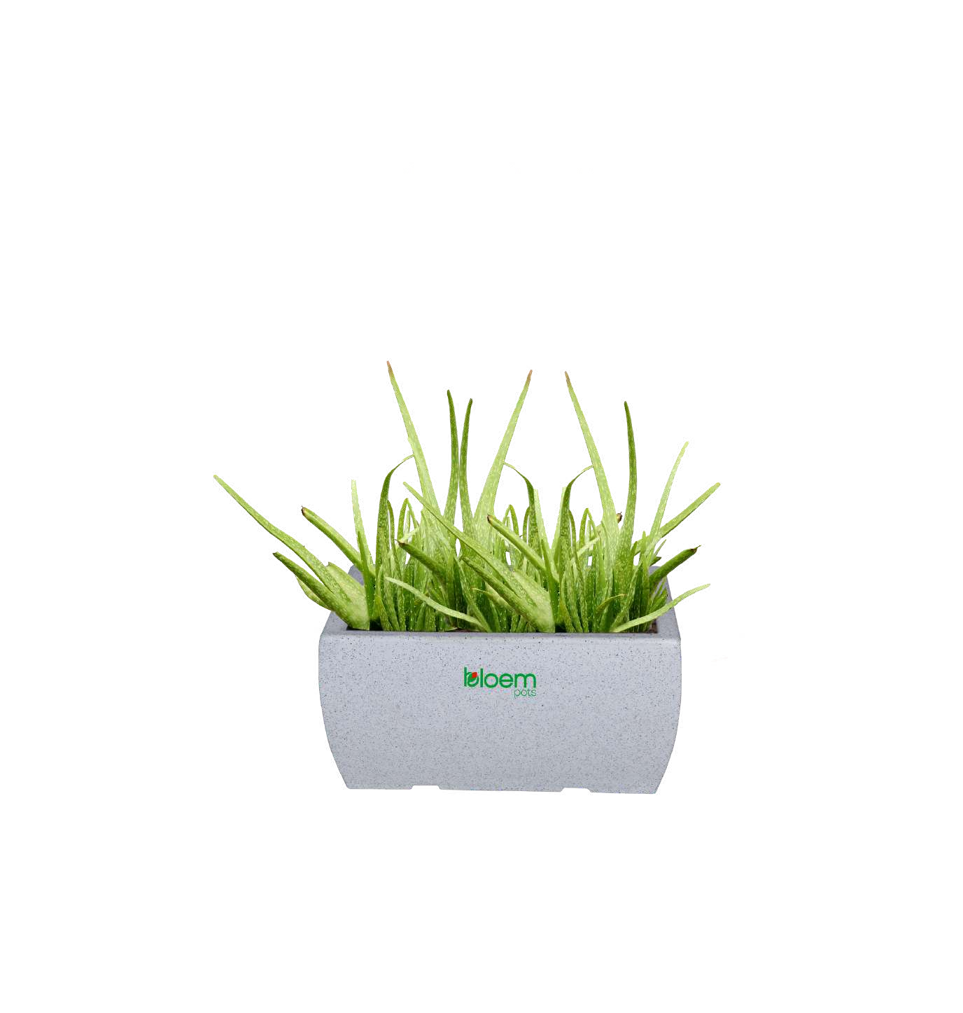 Green Wall