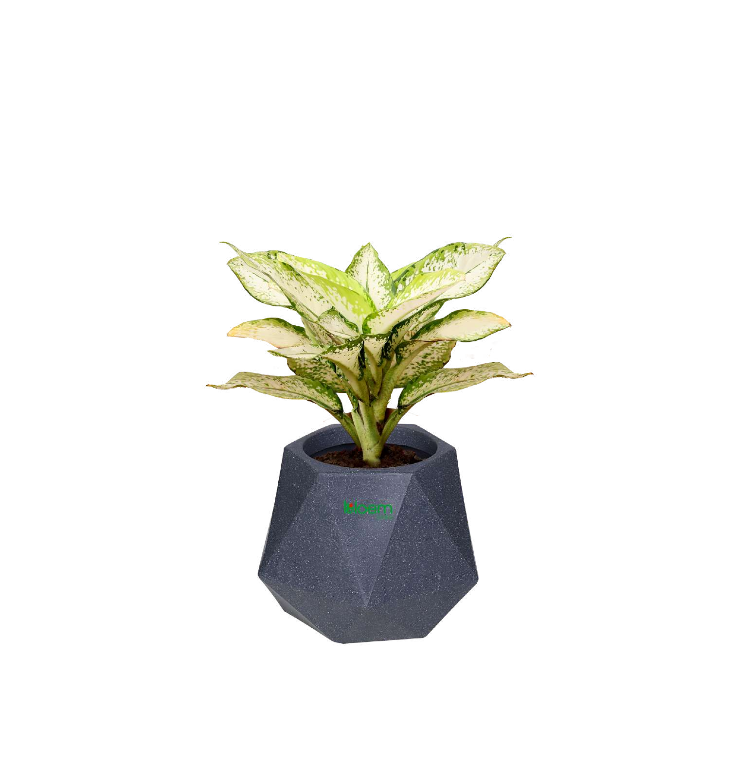 Hexa Diamond