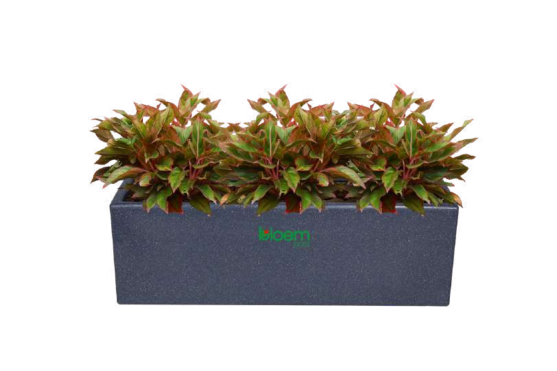 Slim Nest